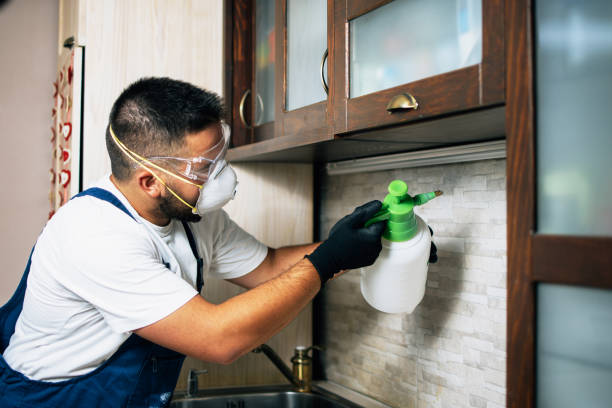 Best Wasp Removal Services  in South Floral Park, NY