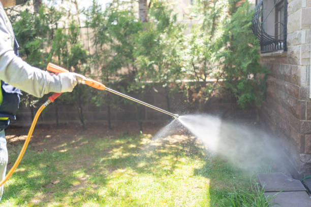 Insect Control in South Floral Park, NY
