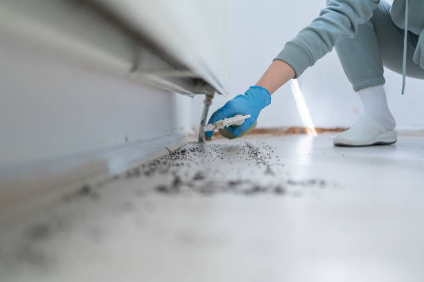 Best Pest Prevention Services  in South Floral Park, NY
